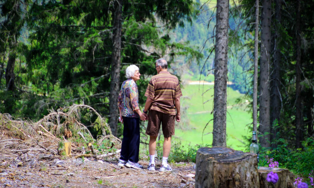 An elderly couple holds hands in a pine forest, looking out together at a lush green valley in the distance - www.medicarefornebraska.com